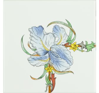 Blue Iris Corner On Brilliant White